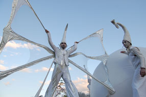 image stilts show