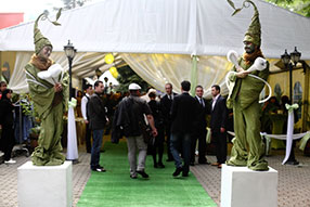 image stilts show