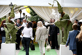 image stilts show