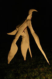 image stilts show