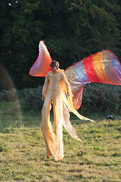 image stilts show