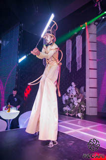 image stilts show
