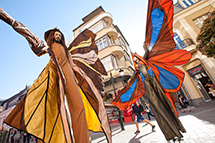 image stilts show